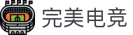 完美电竞•(中国)电子竞技-Perfect Esports
